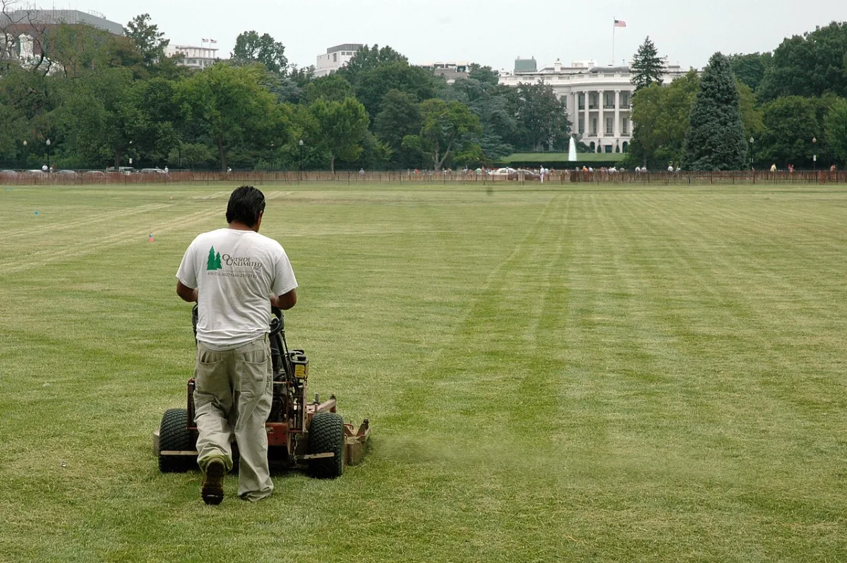 Man maait met een grasmaaimachine een groot grasveld, met op de achtergrond het Witte Huis in Washington D.C.